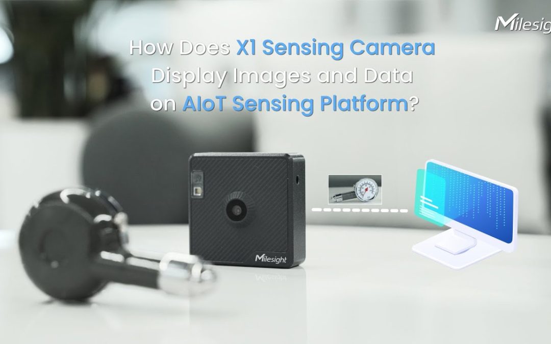 Power of Cutting-edge Vision AI in Low Price X1 Sensing Camera